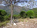 Cerro Alamillos, Andalusia, Spain