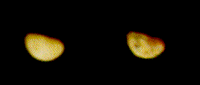 Two versions of the same image of an orange planetary body, half of which is illuminated. The image on the right has been darkened so that dark features on Io's surface are more visible