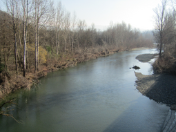 The Piota close to its confluence in the Orba Piota a Silvano d'Orba.png