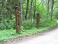 Polski: Leśna Galeria Powstania Styczniowego na terenie Puszczy Knyszyńskiej (podlaskie) English: January Uprising Forest Gallery in the Knyszyn Forest (podlaskie, Poland)