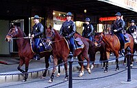 Portland Police horse unit.jpg