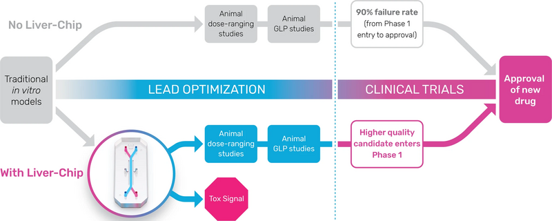 File:Proposed positioning of the Liver-Chip within a typical pharma preclinical workflow.webp