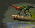Thumbnail for Prorotodactylus