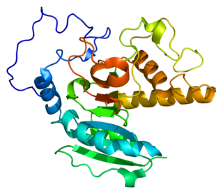 <span class="mw-page-title-main">ABO (gene)</span> Protein-coding gene in the species Homo sapiens