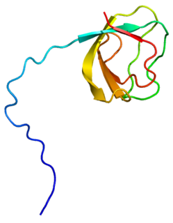 Signal transducing adaptor molecule