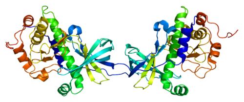 Protein TRPM7 PDB 1ia9.png