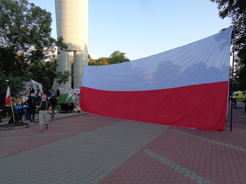 File:Protest w obronie sądów (Warszawa, Sejm)-Flaga RP.jpg