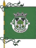 Flag of Amares