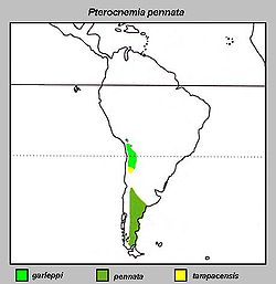 Pterocnemia pennata Distribution map.jpg