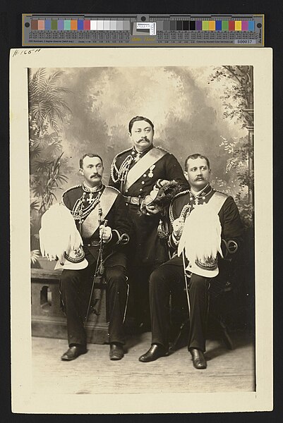 File:Queen Liliuokalani's Staff (PPWD-4-2-003).jpg