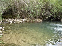 Español: Río Tavizna.