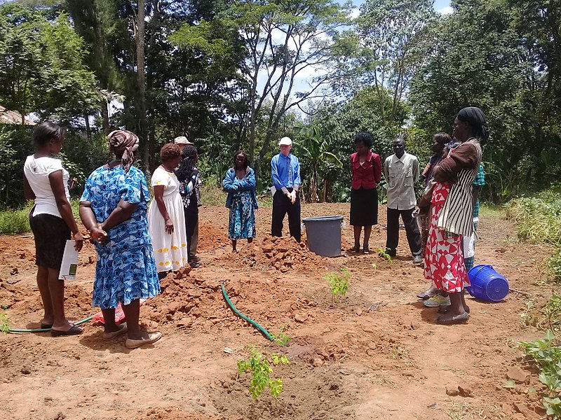 File:Rachel the tireless tree planter, Kenya photo 2.jpg