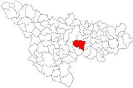 Location in Timiș County