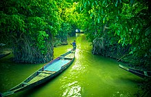 Ratargul Swamp forest Entrance. Ratargul Swamp forest Entrance.jpg