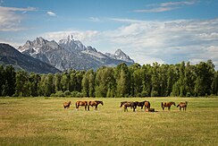 Jackson Hole mit der Teton Range im Hintergrund