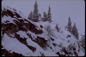 Rocky Mountain National Park ROMO9067.jpg