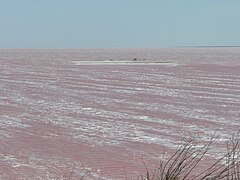 La couleur rouge du Syvach, provoquée par une micro-algue.