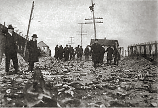 <span class="mw-page-title-main">Kingsland explosion</span> 1917 munitions factory explosion in New Jersey, US