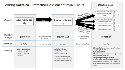 Graphic showing relationship of "protection dose" quantities in SI units SI Radiation dose units.png