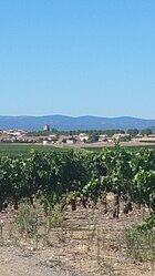 A general view of Sainte-Valière