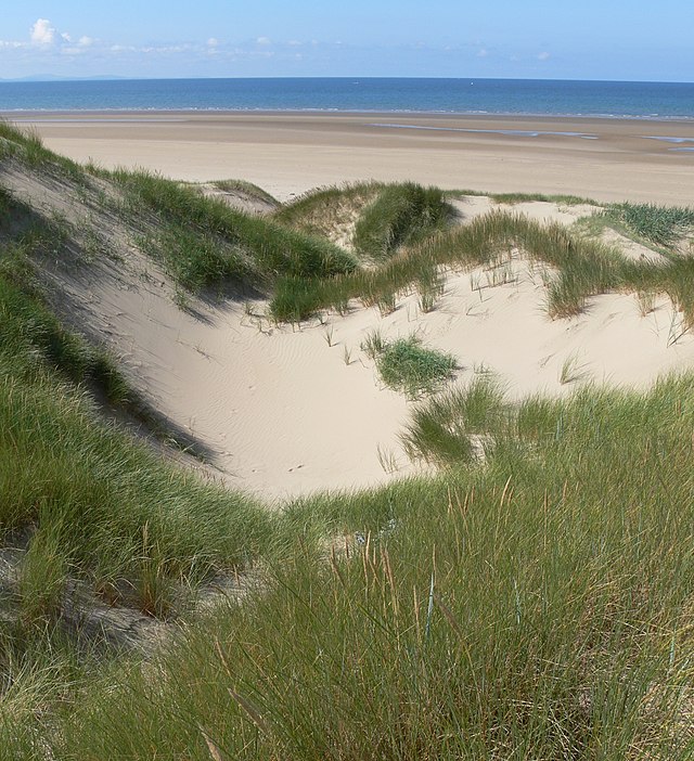 Sand dunes at Traeth Penrhos 