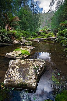 The Sandspit River in a cool temperate rainforest area Sandspit River Wielangta Forest.jpg