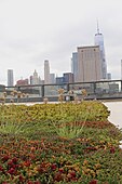 Kebun atap dengan pemandangan gedung One World Trade Center dan pusat kota Manhattan, New York.