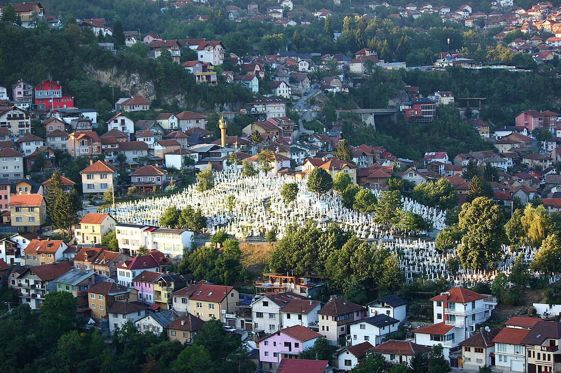 Alifakovac (groblje)