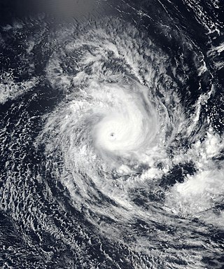 <span class="mw-page-title-main">Cyclone Savannah</span> Australian region tropical cyclone