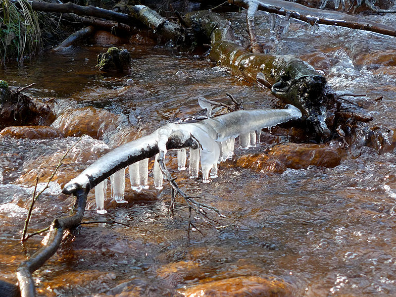 File:Schwindebach bei Schwindebeck.jpg