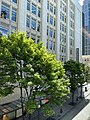 View from Seattle Center Monorail