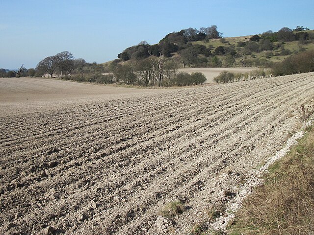 Chalk visible in ploughed soil at the foot of the Chiltern Hill escarpment near Shirburn on the Buckinghamshire/Oxfordshire border
