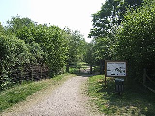 <span class="mw-page-title-main">RAF Bridgnorth</span> Former Royal Air Force base in Shropshire, England