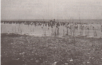 View of the pile field of the Montbec I riverside settlement from the shores of Lake Neuchâtel, taken in April 1921 on the occasion of the historical low water level caused by the drought