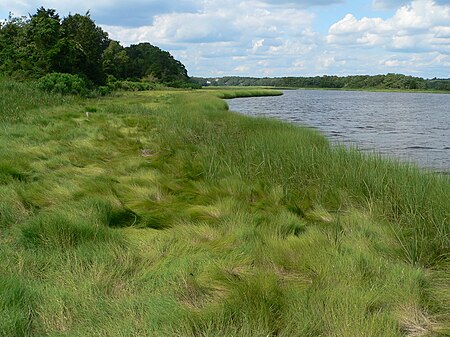 Slocum's River Reserve P1140026