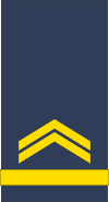File:Spanish-Navy-OR9A.svg