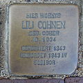 wikimedia_commons=File:Stolperstein_Meppen_Domhof-Bült_Lili_Cohen.jpg