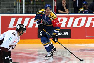 Aleksander Reichenberg Norwegian ice hockey player