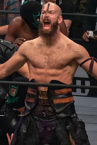 <span class="mw-page-title-main">Stu Grayson</span> Canadian professional wrestler