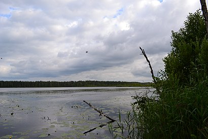 Kuidas ühistranspordiga sihtpunkti Pehme Järv jõuda - kohast