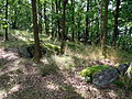 Čeština: Přírodní památka Syenitové skály u Pocoucova u Třebíče v kraji Vysočina. English: Natural monument Syenitové skály u Pocoucova near the village of Pocoucov north of the town of Třebíč, Vysočina Region, Czech Republic.