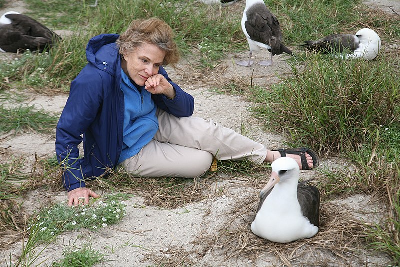 File:Sylvia Earle and Wisdom the Albatross (6741930627).jpg
