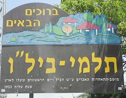 How to get to תלמי בילו with public transit - About the place