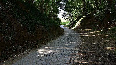 Moskesstraat in september 2021