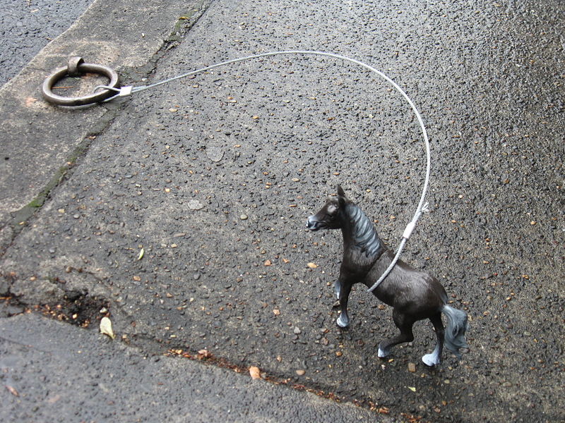 File:Tethered horse on 9th, Portland, Oregon.jpg