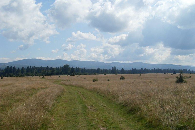 File:The road to Paradise- Út a Mennyországba - panoramio.jpg