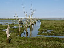 The opening shot of the series was filmed here off Tollesbury Fleet, showing Magwitch emerging from the marsh