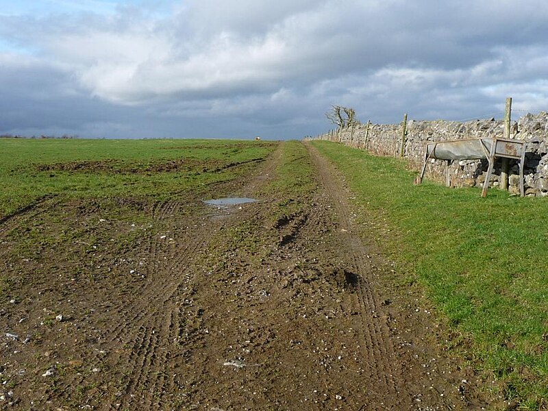 File:Track along a field boundary, west of Collier Lane - geograph.org.uk - 5312543.jpg