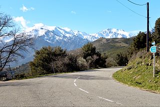 <span class="mw-page-title-main">Col de San Quilico</span> Mountain pass in Corsica, France