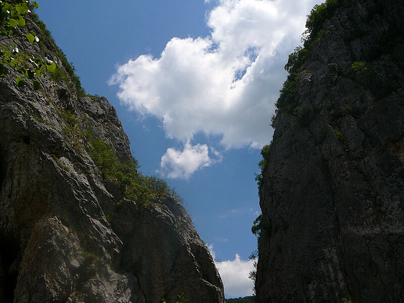 File:Tran Gorge 101.jpg